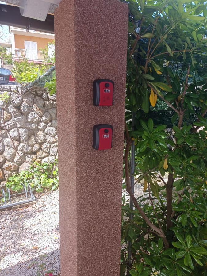 Apartment Zoric *